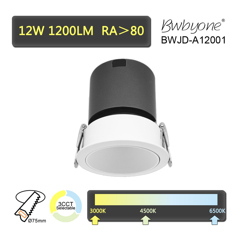 BWJD-A12001.jpg