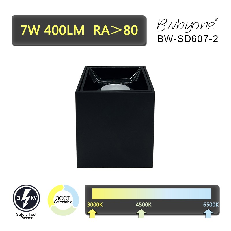 BW-SD607-2.jpg