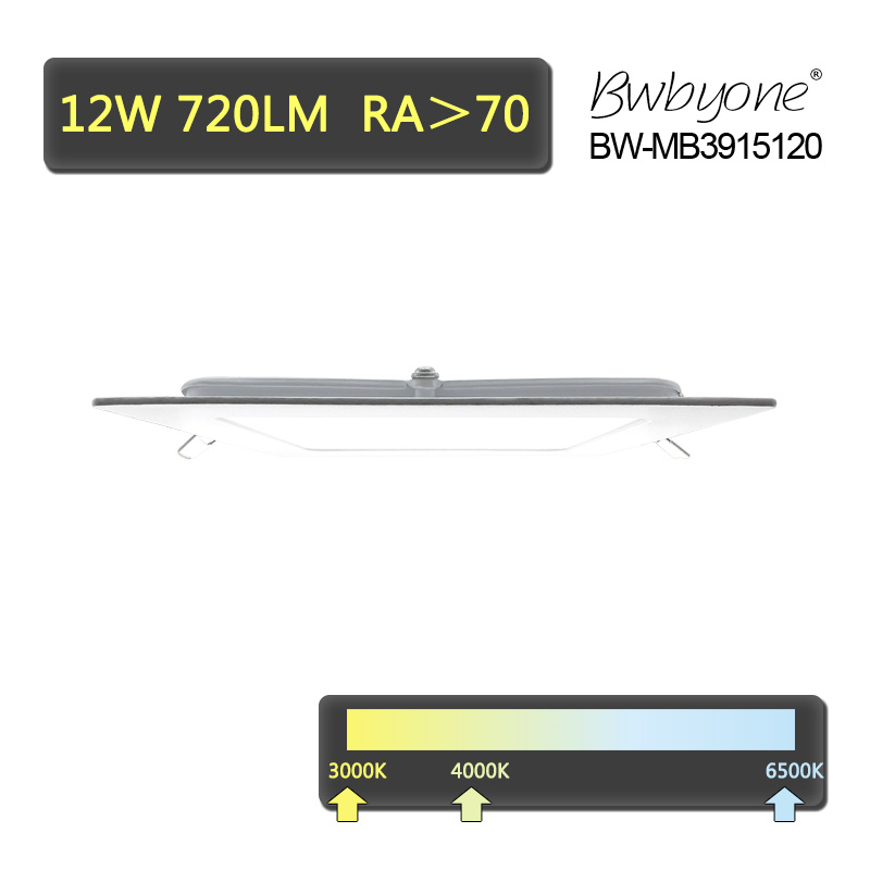 BW-MB3915120 side view.jpg