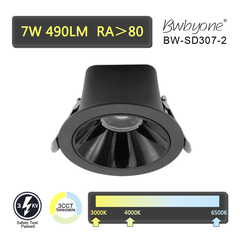 BW-SD307-2.jpg