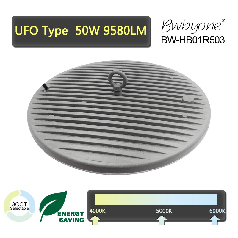 BW-HB01R503 back view.jpg