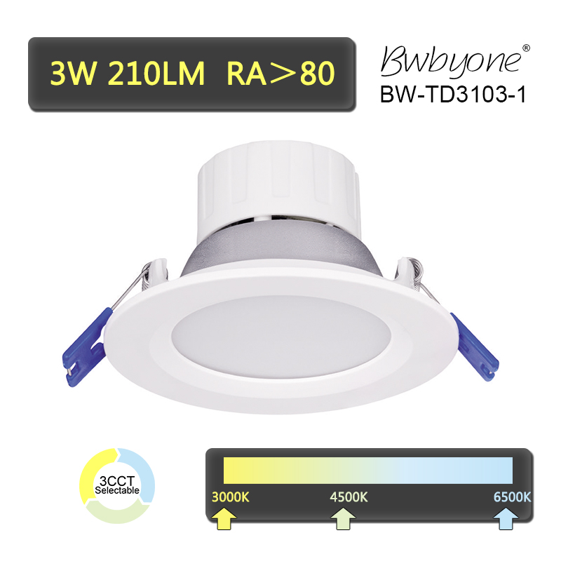 3W 210LM BW-TD3103 series LED Recessed Mounted Downlight