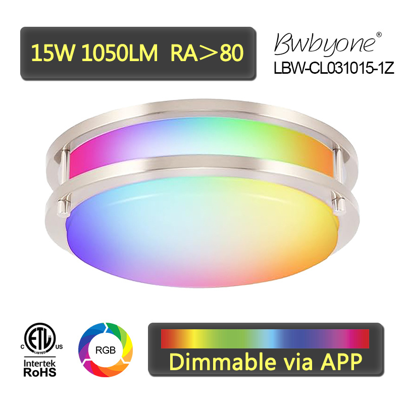 15W 1050LM LBW-CL031015 Series LED Flush Mounts Ceiling Light