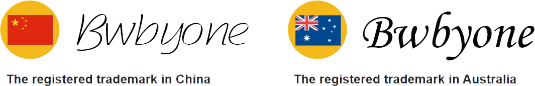 icon1