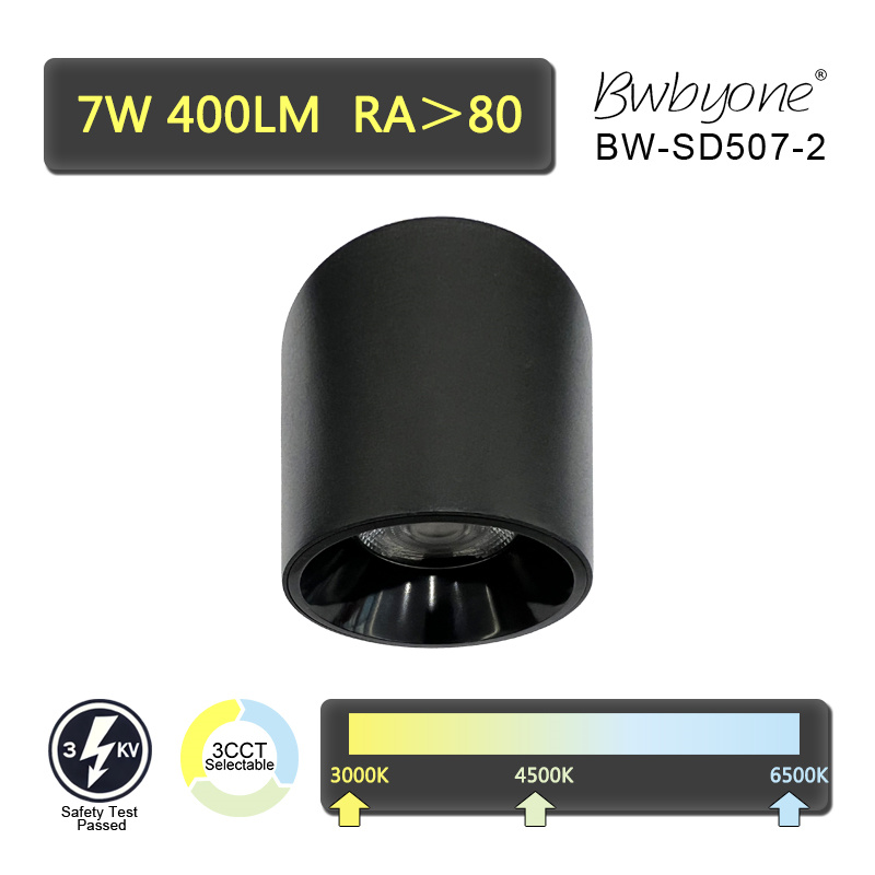 BW-SD507-2.jpg